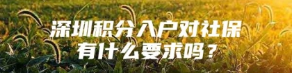 深圳积分入户对社保有什么要求吗？