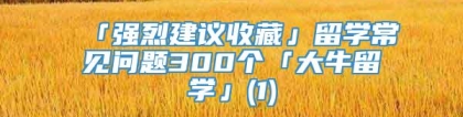 「强烈建议收藏」留学常见问题300个「大牛留学」(1)