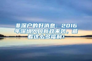 非深户的好消息：2016年深圳人口新政来袭，藏着这么多福利！