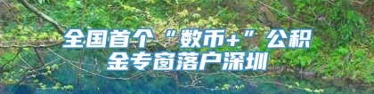 全国首个“数币+”公积金专窗落户深圳