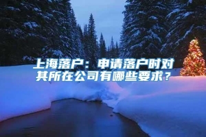 上海落户：申请落户时对其所在公司有哪些要求？