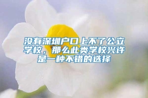 没有深圳户口上不了公立学校，那么此类学校兴许是一种不错的选择