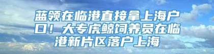 蓝领在临港直接拿上海户口！大专虎鲸饲养员在临港新片区落户上海