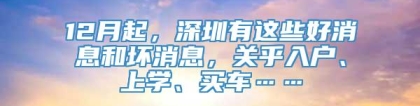 12月起，深圳有这些好消息和坏消息，关乎入户、上学、买车……
