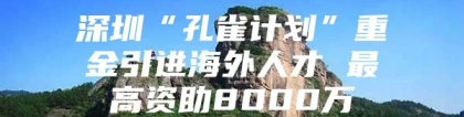 深圳“孔雀计划”重金引进海外人才 最高资助8000万