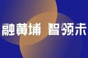 逆势上扬！高金2020届MF毕业生平均年起薪和中位数再创新高｜SAIF动态