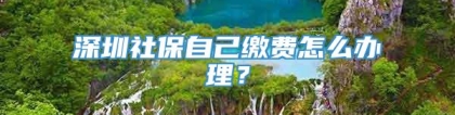 深圳社保自己缴费怎么办理？