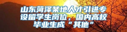 山东菏泽某地人才引进专设留学生岗位，国内高校毕业生成“其他”