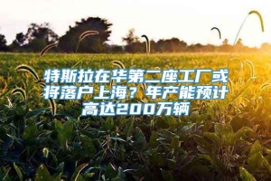 特斯拉在华第二座工厂或将落户上海？年产能预计高达200万辆