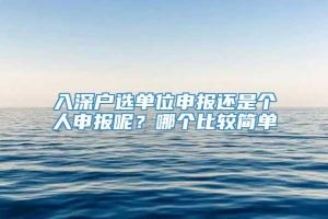 入深户选单位申报还是个人申报呢？哪个比较简单