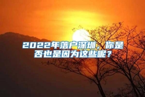 2022年落户深圳，你是否也是因为这些呢？