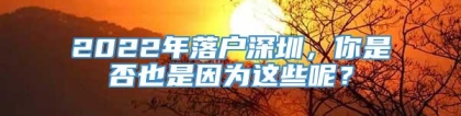 2022年落户深圳，你是否也是因为这些呢？