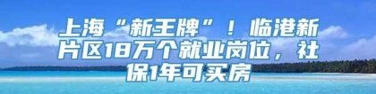 上海“新王牌”！临港新片区18万个就业岗位，社保1年可买房