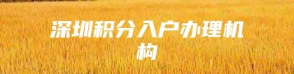 深圳积分入户办理机构