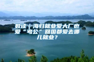 数读｜海归就业爱大厂也爱“考公”回国都爱去哪儿就业？