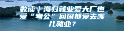 数读｜海归就业爱大厂也爱“考公”回国都爱去哪儿就业？