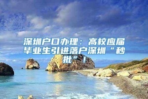 深圳户口办理：高校应届毕业生引进落户深圳“秒批”！