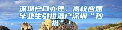 深圳户口办理：高校应届毕业生引进落户深圳“秒批”！