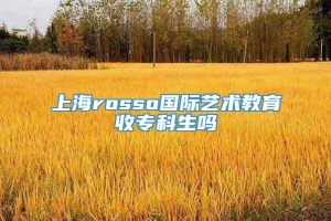 上海rosso国际艺术教育收专科生吗