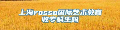 上海rosso国际艺术教育收专科生吗