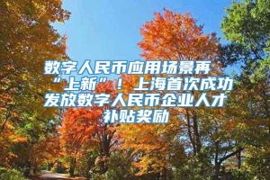 数字人民币应用场景再“上新”！上海首次成功发放数字人民币企业人才补贴奖励