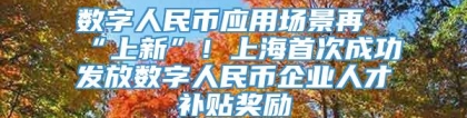 数字人民币应用场景再“上新”！上海首次成功发放数字人民币企业人才补贴奖励