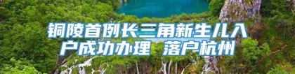 铜陵首例长三角新生儿入户成功办理 落户杭州