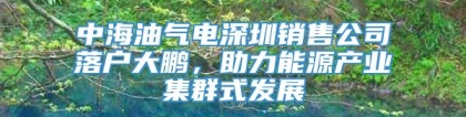 中海油气电深圳销售公司落户大鹏，助力能源产业集群式发展