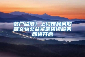 落户临港！上海市民间收藏文物公益鉴定咨询服务即将开启