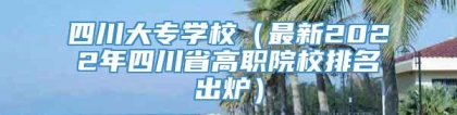 四川大专学校（最新2022年四川省高职院校排名出炉）