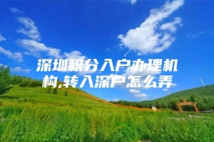 深圳积分入户办理机构,转入深户怎么弄