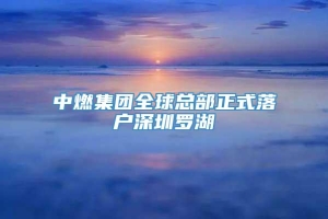 中燃集团全球总部正式落户深圳罗湖