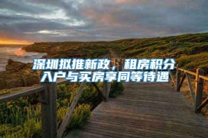 深圳拟推新政，租房积分入户与买房享同等待遇