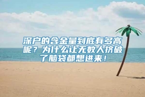 深户的含金量到底有多高呢？为什么让无数人挤破了脑袋都想进来！