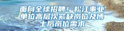 面向全球招聘！松江事业单位高层次紧缺岗位及博士后岗位需求→