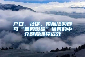 户口、社保、婚姻限购都可“定向爆破”猖獗的中介耗损调控成效