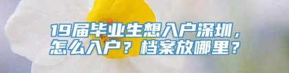 19届毕业生想入户深圳，怎么入户？档案放哪里？