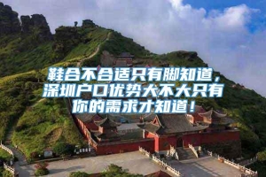 鞋合不合适只有脚知道，深圳户口优势大不大只有你的需求才知道！