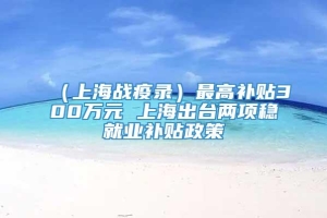 （上海战疫录）最高补贴300万元 上海出台两项稳就业补贴政策