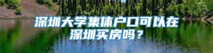 深圳大学集体户口可以在深圳买房吗？