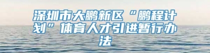 深圳市大鹏新区“鹏程计划”体育人才引进暂行办法