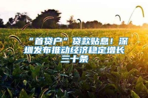 “首贷户”贷款贴息！深圳发布推动经济稳定增长三十条