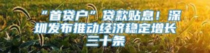 “首贷户”贷款贴息！深圳发布推动经济稳定增长三十条