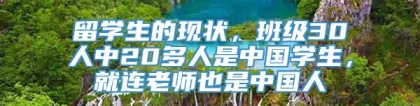 留学生的现状，班级30人中20多人是中国学生，就连老师也是中国人