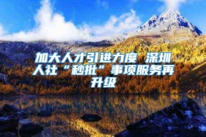 加大人才引进力度 深圳人社“秒批”事项服务再升级