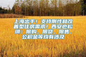 上海出手！支持刚性和改善型住房需求！西安也松绑：限购、限贷、限售、公积金等均有涉及