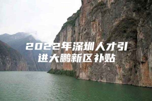 2022年深圳人才引进大鹏新区补贴