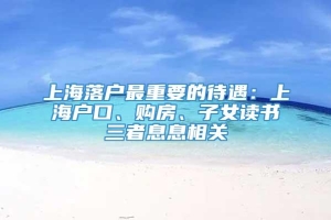 上海落户最重要的待遇：上海户口、购房、子女读书三者息息相关