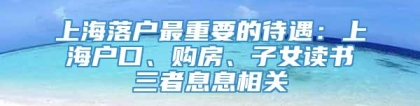 上海落户最重要的待遇：上海户口、购房、子女读书三者息息相关