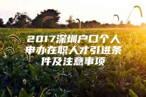 2017深圳户口个人申办在职人才引进条件及注意事项